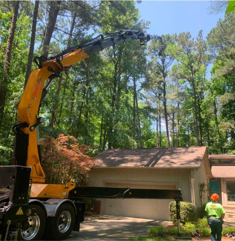 Commercial Tree Service