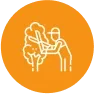 Tree Trimming & Prunning