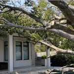 Emergency Tree Removal